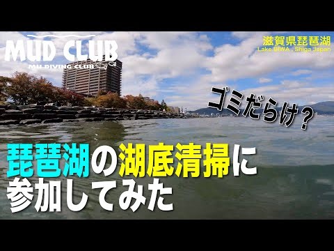 琵琶湖の湖底清掃に参加してみた！ 滋賀県琵琶湖ダイビング Diving in Lake BIWA , Shiga Japan