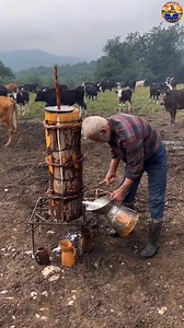 550K views · 1.2K reactions | Milk Collecting #shorts #fbshorts | NY VLOG | Facebook