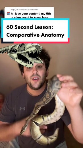 Zeke Darwin on TikTok