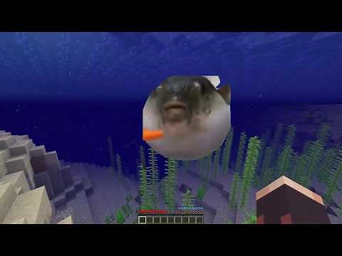 Fish Eating Carrot - Minecraft Boss