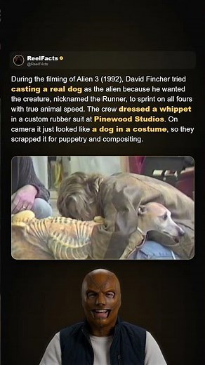 During the filming of Alien 3 (1992), Sigourney Weaver's alien co-star was a dog