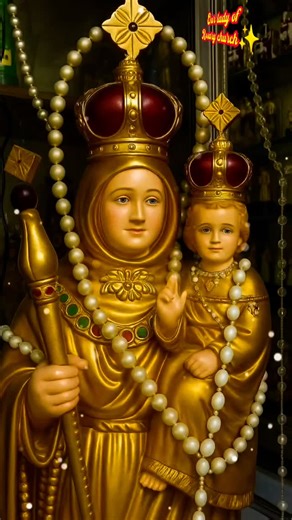 Our Lady Of Rosary Church on Instagram: "#ave #maria #amma🌹🌹✨✨💯💜💜🙏🙏 #trendingreels #instagram 🌹🌹🌹🌹🌹🌹🌹🌹🌹🌹🌹🌹🌹🌹🌹 💖💖💖💖💖🪩🪩🪩🪩🪩❤️❤️❤️❤️❤️"