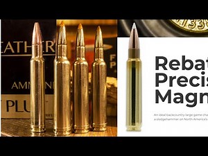 Most efficient Weatherby cartridges!
