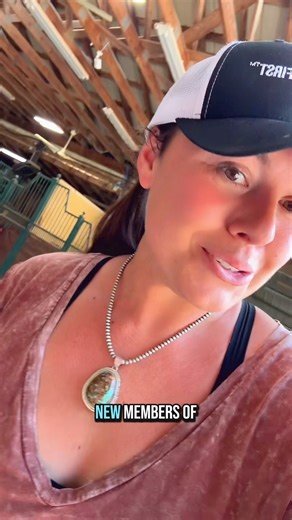 1.4M views · 87K reactions | 2 new family members | Katie Van Slyke | Facebook