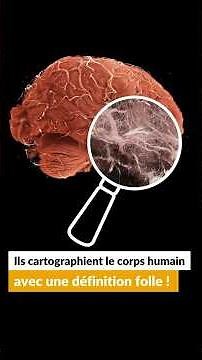 They're mapping the human body with incredible detail! #science #shorts