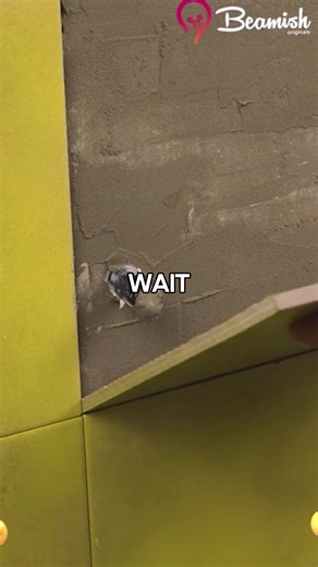 Second Date Update: Phone Case Talks with Brooke and Jubal