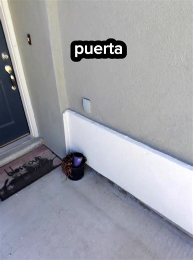 Curb Painting Experiencias en El Paso