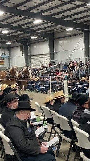 Spring draft sale Mt Hope 2024