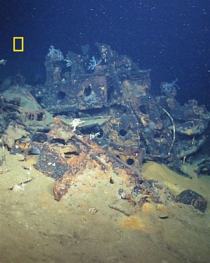 1.5M views · 23K reactions | Rob Kraft and his team are hunting for Musashi, the biggest battleship ever built and considered unsinkable by the Japanese. How did the U.S. Navy sink this "indestructible" ship? And why did it end up in 10,000 pieces on the sea floor? Watch Lost Ships of WW2 on Sundays at 8pm on National Geographic UK. | National Geographic UK | Facebook