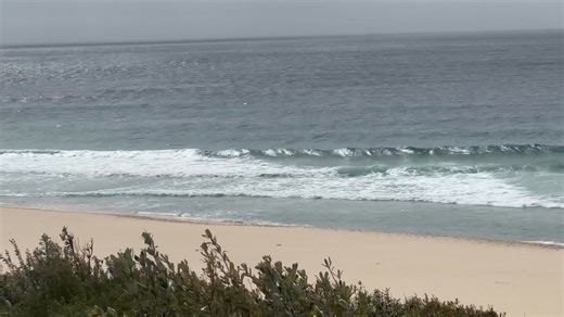 David Mills on Reels