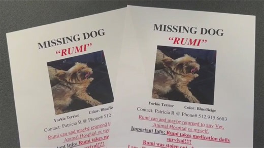 Dog stolen from owner at North Austin carnival