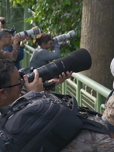 experience... Borneo Bird Festival Theme: ‘Conservation for Generations’ 26th -27th October 2024 Borneo is renowned worldwide for its exceptional biodiversity, featuring a wide array of plant and animal species, many of which are found only on this island. Its diverse habitats, from majestic mountains to vibrant lowlands, sustain a remarkable variety of flora and fauna. The Borneo Bird Festival (BBF) is one of Malaysia's largest nature festivals, offering an annual gathering spot for nature enth
