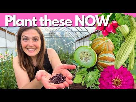 What to direct sow after your last frost | EASY WINS for warm climates
