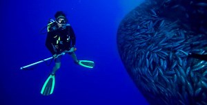 WOMEN IN THE SEAFOOD INDUSTRY, AN INTRODUCTION