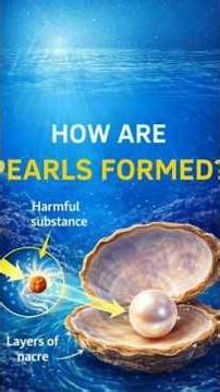 How Oysters Create Pearls (and Why They’re So Expensive)