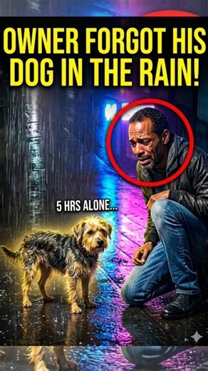 WILL THIS LITTLE FELLOW SURVIVE THIS RAIN #shorts