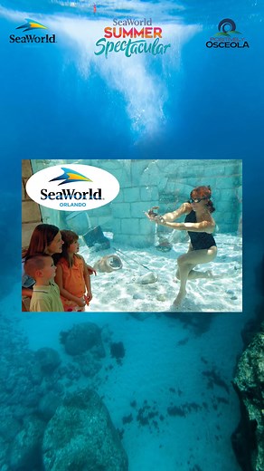 The crowd favorite pearl diving is back at SeaWorld Orlando during its Summer Spectacular which runs through September 4th! #PearlDiving #SeaWorldOrlando #SeaWorldNews #VisitOsceola SeaWorld Orlando | Positively Osceola | Facebook