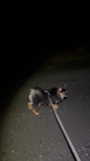 Walking time😉😉 | Judelyn Bitco