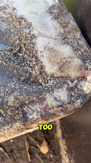 If you see loads of furniture thrown outside of your apartment, someone’s got bedbugs! #pestcontrol #bedbugs #bugs #infested #pestmanagement