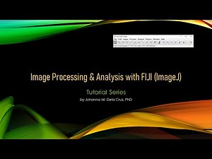 Are you a FIJI (ImageJ) beginner?