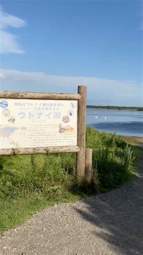 野鳥の楽園 ウトナイ湖 ／北海道 苫小牧市 2025年8月 #北海道観光