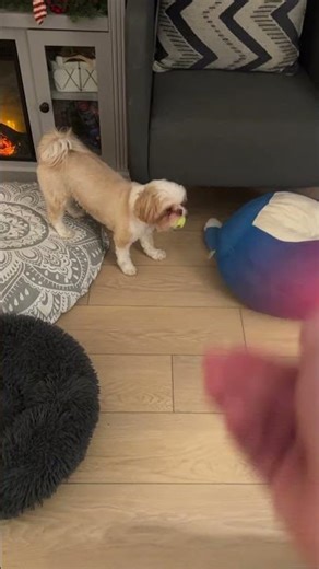They Tried to Catch It 100 Times...