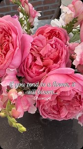 ✨💫✨ | Garden Answer