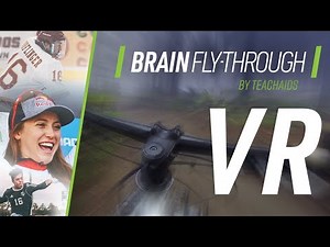 CrashCourse | Brain Fly-Through (VR)