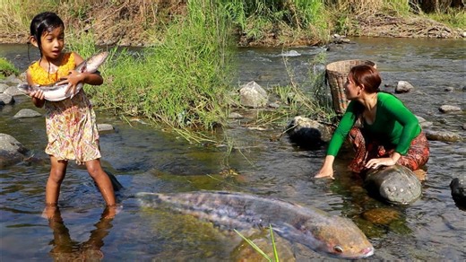 1.1K views · 16 reactions | Amazing fishing by hand skill catch for food- Mother cooking fish for lunch with daughter | CHEF GIRL | Facebook