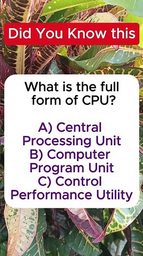 What Is the Full Form of CPU? 💻 | IQ VistaX #iqvistax #brainteaser #didyouknow #education #learning