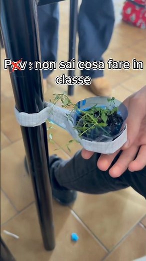 Coltivare una piantina in Classe Si può Ecco come fare
