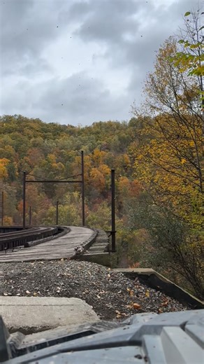 David Mccain on Reels