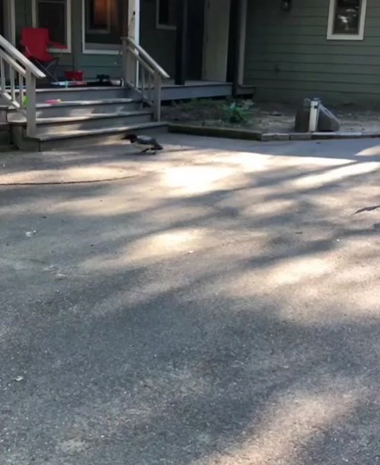 Taylor Joseph West (@taylorjosephwest)’s videos with original sound - Taylor Joseph West