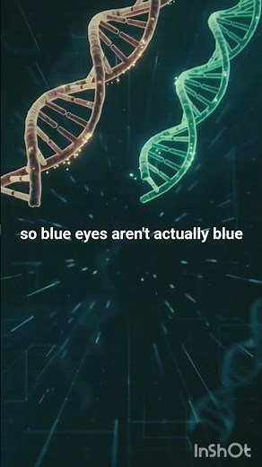 Brown, blue, green, or hazel—your eye color is a fascinating mix of genetics and light. #eyecolor