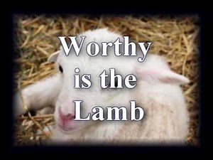 Agnus Dei - Third Day - Worship Video with lyrics