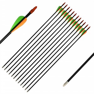 Runzkzy Metal Arrows 29 inch 6/12PCS Hunting Arrows for Bow Compound Recurve and Traditional Bows