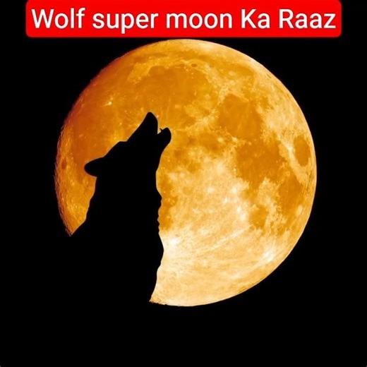 Wolf Super Moon Explained | Aaj Chaand Ne Sab Ko Daraa Diya!#facts #wolfmoon #shorts