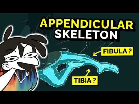 The Bone Structure EVERY Artist NEEDS to Know!