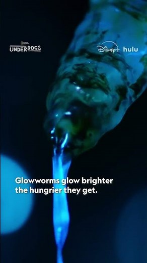 Who knew glowworm goo could be so beautiful?