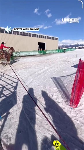 Race against the snow: First-person skijoring adventure with horse & skier on a thrilling obstacle course!