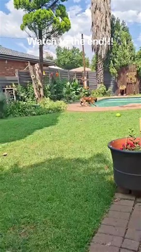 Splash Boom Bang: Embrace Your Summer Vibes