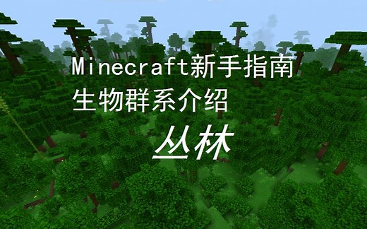 【Minecraft新手指南】丛林