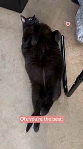 10K views · 43 reactions | He knew exactly what was up—belly rubs on demand! | Poke My Heart | Facebook