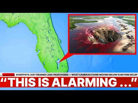 Scientists Drained Lake Okeechobee — What Cameras Found Moving in the Mud Defies All Logic