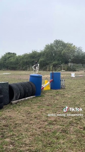 Dealing with a Stubborn Pony: A Rider's Journey