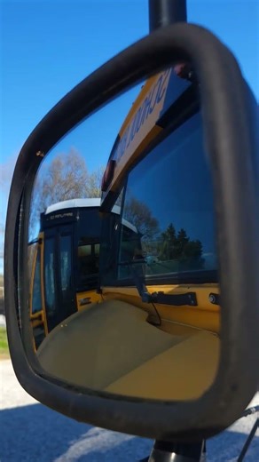 2018 Blue Bird Vision