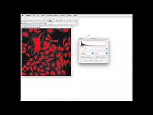 FIJI for Quantification: Cell Confluency