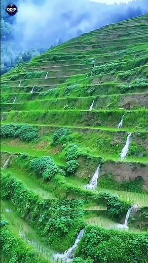 This Dry Mountain Will Turn Into a Green Paradise 🌿 Terraced Farming Explained in 30 Seconds