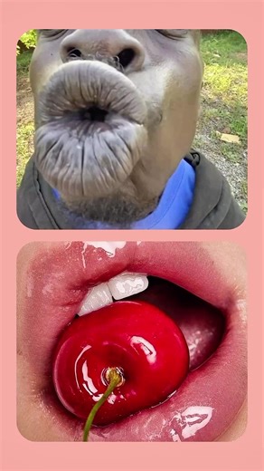 Choose First: Embrace the Challenge