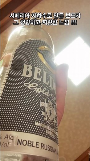 벨루가 골드라인 러시아 고급 보드카 Beluga Goldline Russian premium vodka no.1